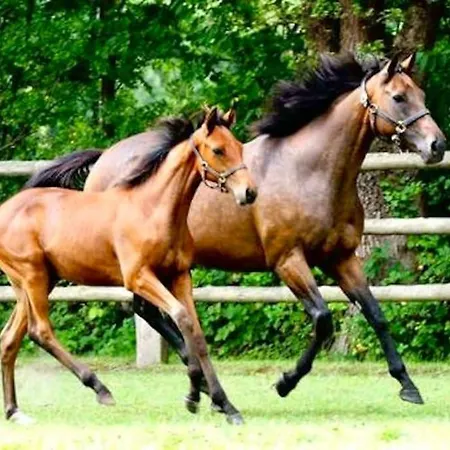 Апартаменты Le Haras Des Charmilles *